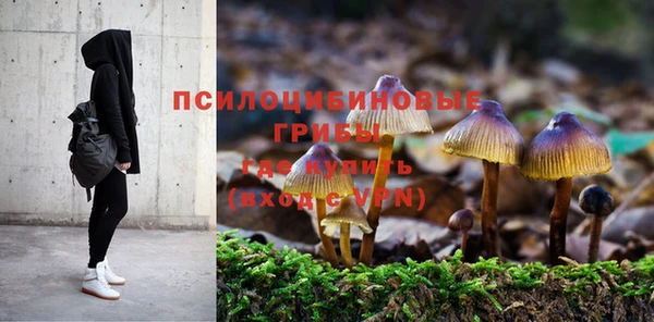 шишки Алзамай
