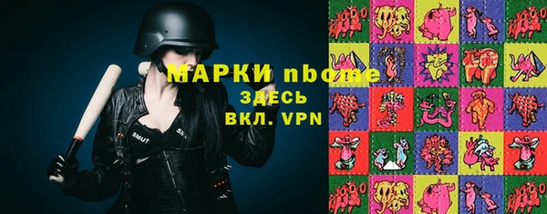 шишки Алзамай